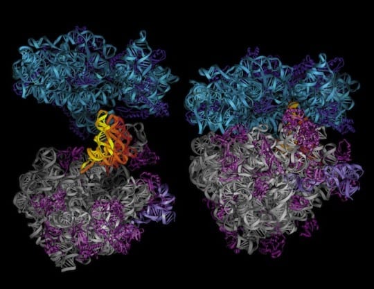 70s_openbook_nolabels