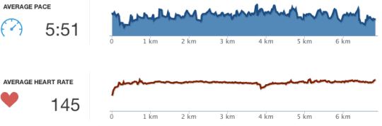 heart_rate_johan_voets_numrush
