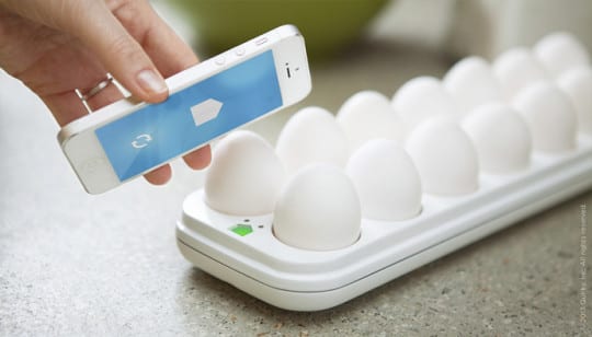 egg-minder-2