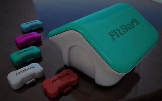 FitBark_Bones_and_Home_Base_02_610x381