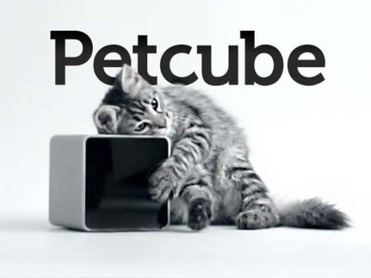 Petcube