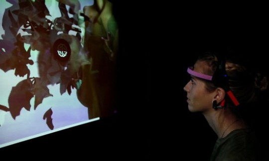 Rhinofly_Breinreis_klein_voor_web.jpg.550x330_q85_crop-1_upscale-1