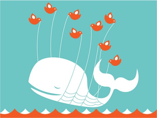 Twitter-Whale