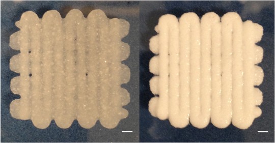 bioprinted-material