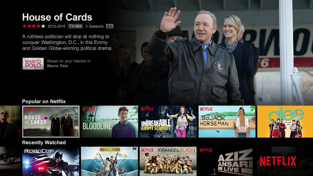 Netflix interface