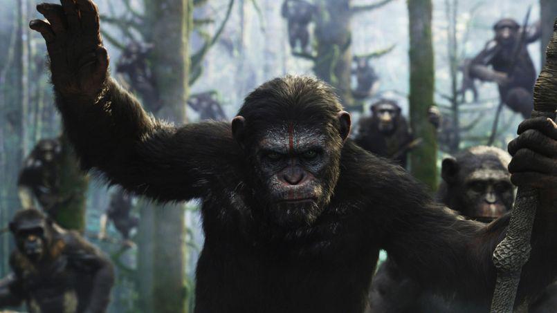 dawn of the planet of the apes