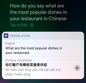 Siri Translate