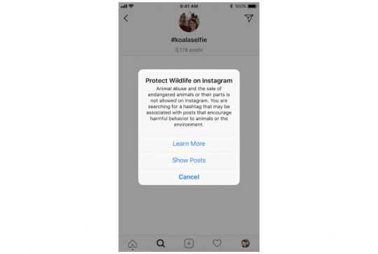 Instagram-wilde-dieren