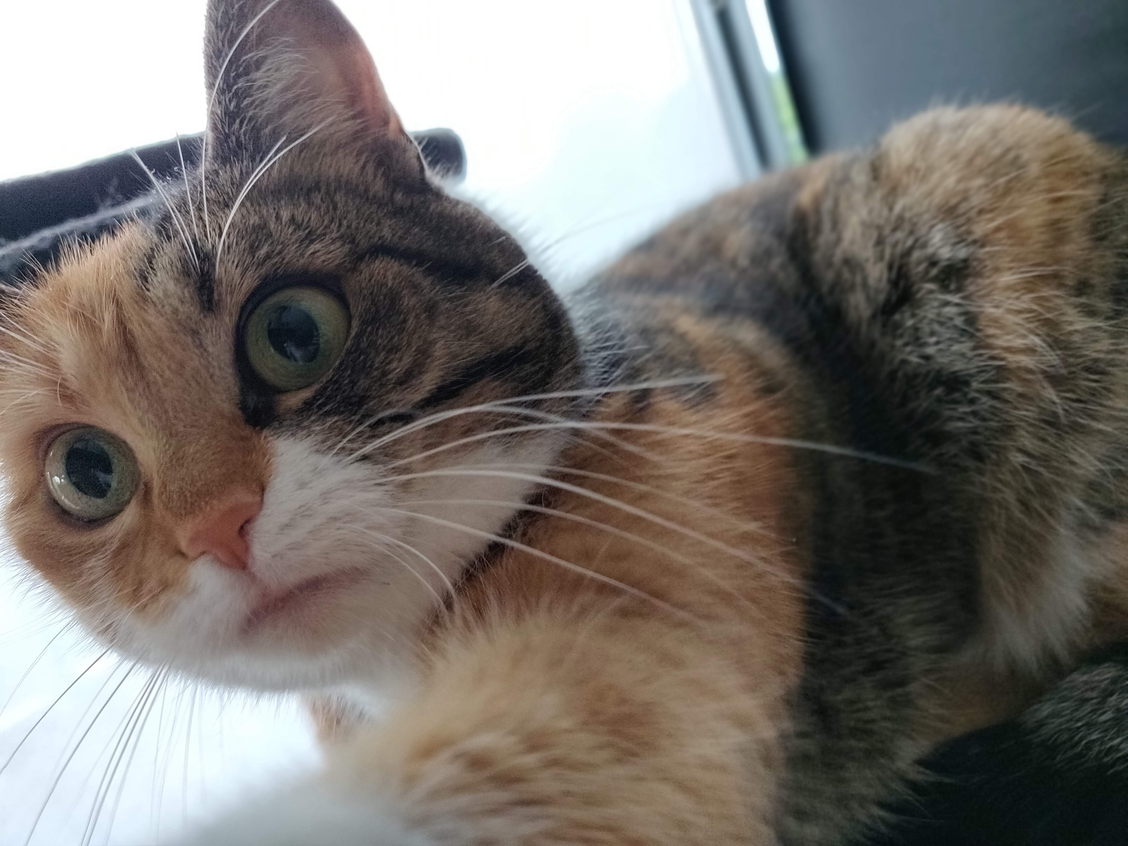 OnePlus 6 Camera-test